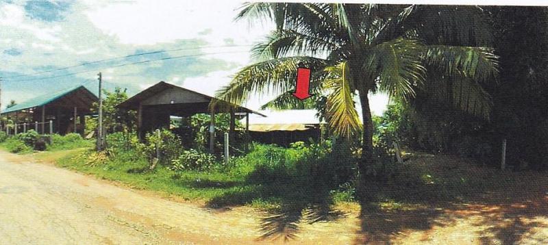 ขัวเรียง ชุมแพ ขอนแก่น